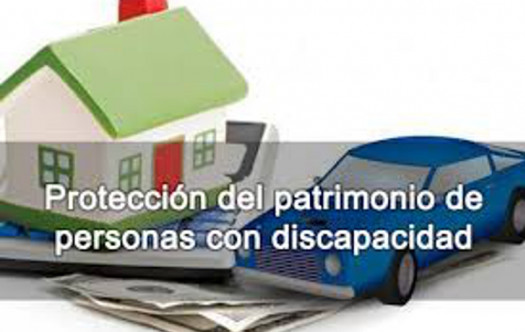 PROTECCIÓN PATRIMONIAL DE LAS PERSONAS CON DISCAPACIDAD